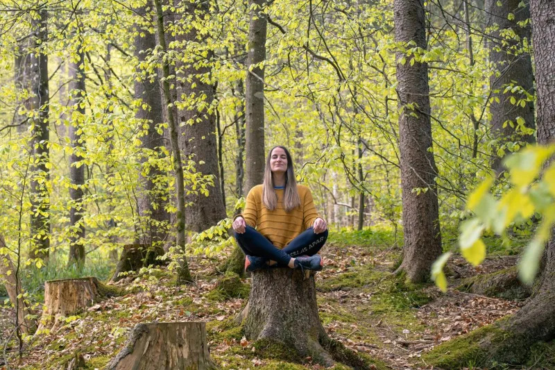 Waldbaden in Steibis: Eine Reise zu den Sinnen