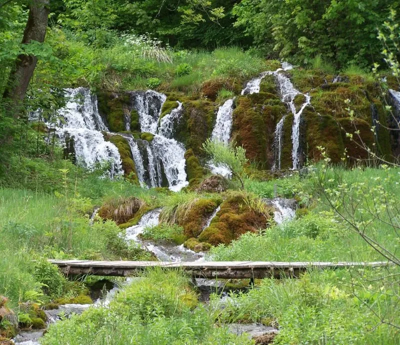 Vielfalt im Quellgebiet Weissenbronnen