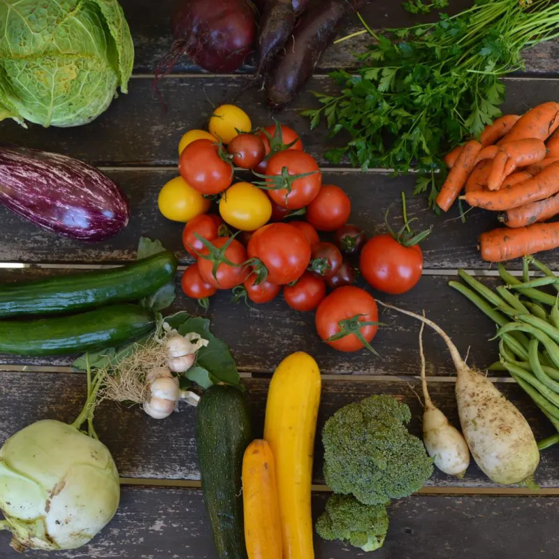 Solidarische Landwirtschaft am Jörg-Hof in Durach