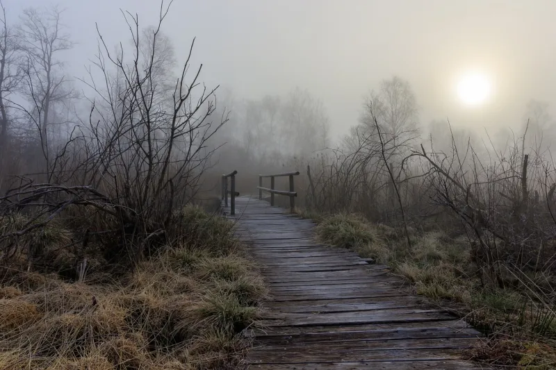 Abendführung im Wurzacher Ried