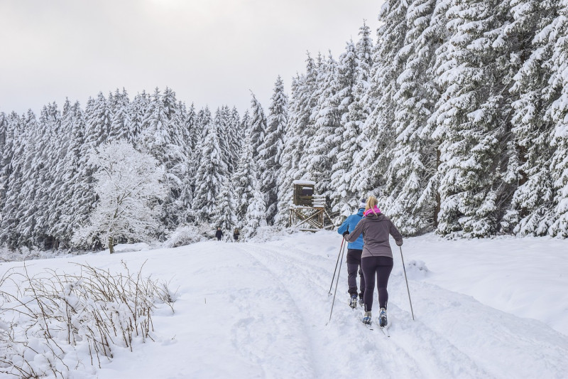 SkiBasar des TSV Buchenberg – Abteilung Langlauf