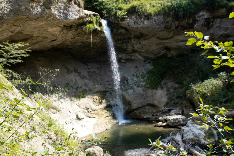 Wildkräuterführung durch die Scheidegger Wasserfälle