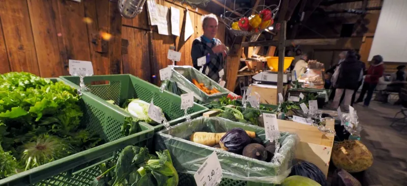 Wochenmarkt in der Dampfsäg in Sontheim