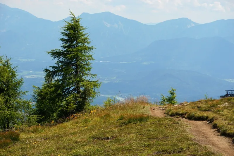 Geführte Wanderung bei Bad Grönenbach