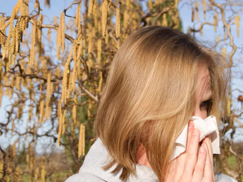 Allergie im Anflug - Was tun, wenn die Pollen unterwegs …