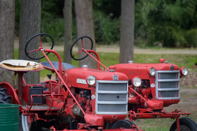 Stadelfest in Weihers: Ein Fest für alle Generationen