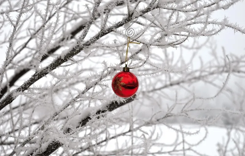Bregenzer Weihnacht in der Innenstadt von Bregenz