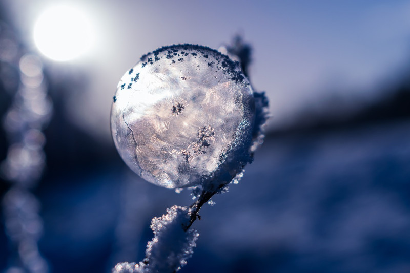 Winterzauber mit Markt der Sinne in Fischen