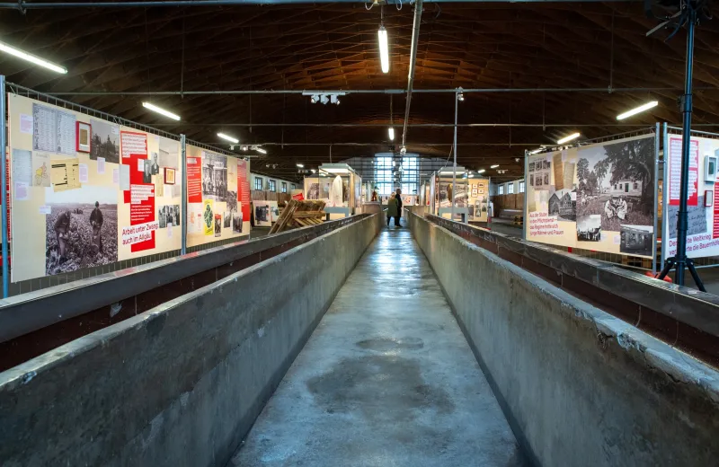 „Butter, Vieh, Vernichtung“ – Führung in Deutscher Gebär…