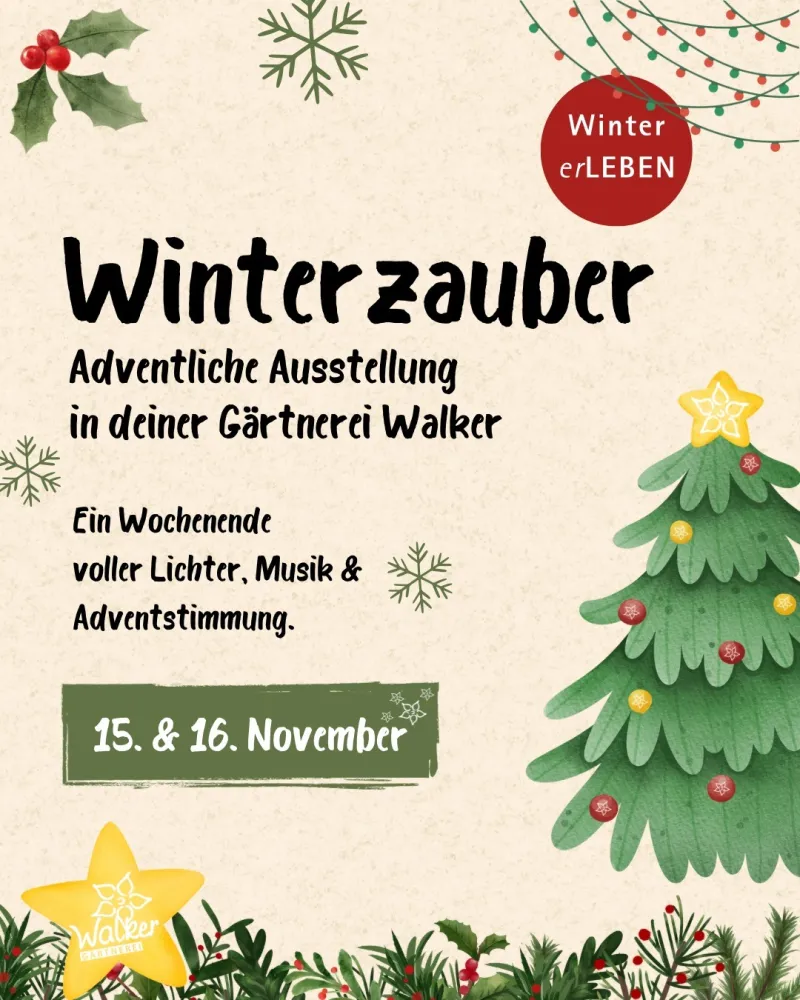 Winterzauber in der Gärtnerei Walker Kimratshofen