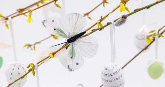 Osterferienprogramm im Bauernhaus-Museum Wolfegg