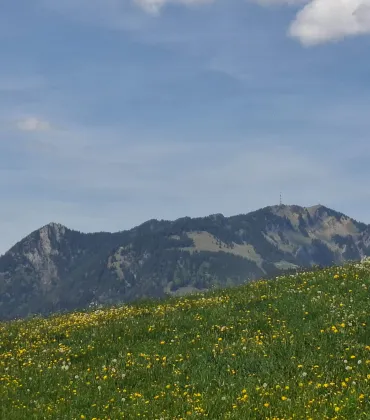 Kräuterwanderung bei Rettenberg