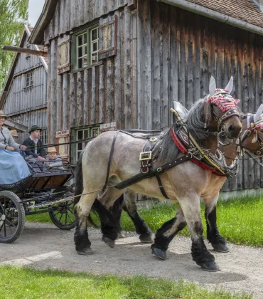 Saisonauftakt im Freilichtmuseum Illerbeuren