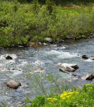 Ökosystem Bach und Tümpel im Biberhof Sonthofen