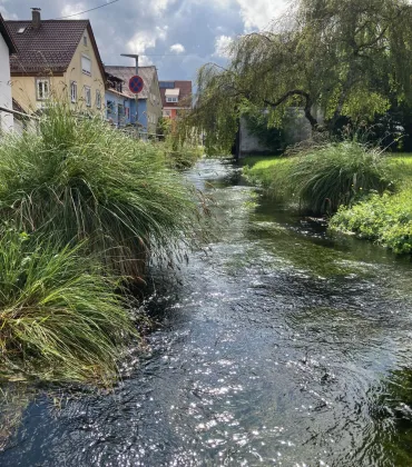 Die Isnyer Ach – Lebensader der Stadt in Isny im Allgäu