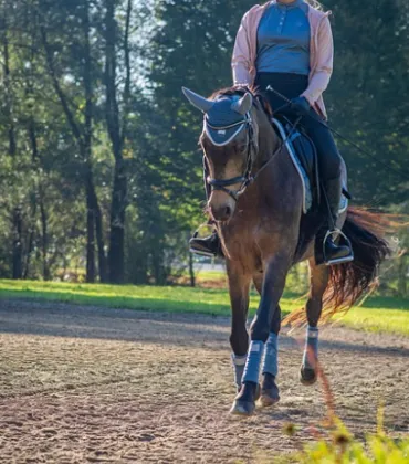 Geländeindoortraining in Altusried