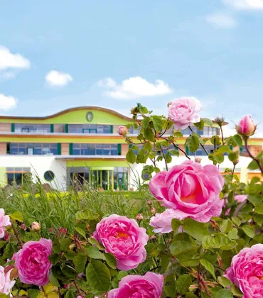 PRIMAVERA Rosenfest in Oy-Mittelberg