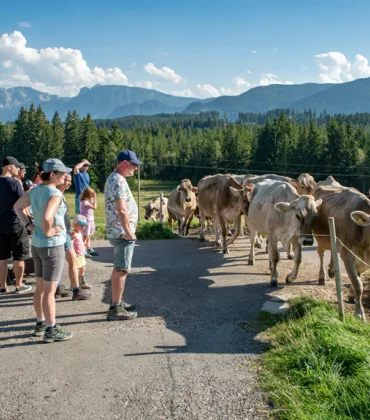 Kinder-Ferienprogramm  Bauernhofbesuch