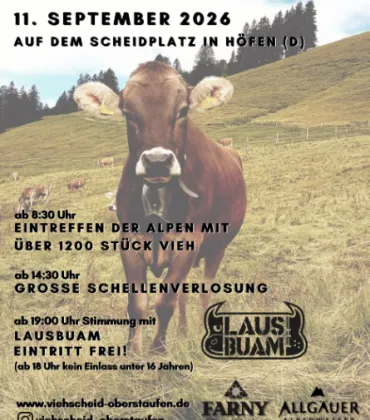 Viehscheid in Höfen bei Oberstaufen