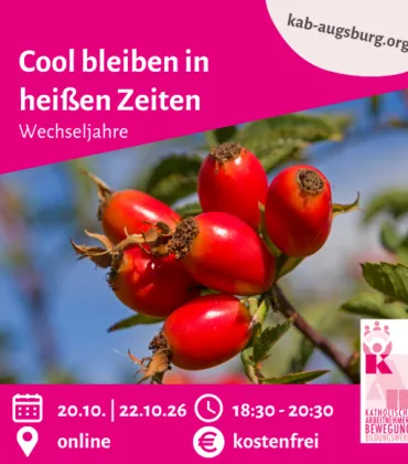 Cool bleiben in heißen Zeiten - online