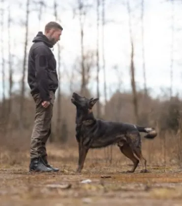 Mensch-Hund-Beziehung bei Allgäu Dogs