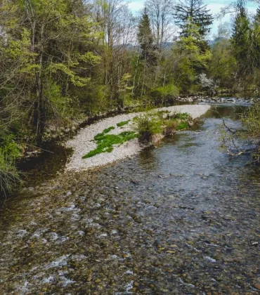 Wildes Wasser an der Unteren Argen bei Isny