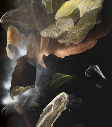 DIE NEUEN in der Kunsthalle Kempten