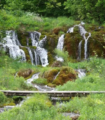 Vielfalt im Quellgebiet Weissenbronnen