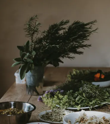 Oxymel – Kräutertinkturen ohne Alkohol in Weitnau