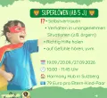 Superlöwenkurs im Harmony Hub Sulzberg