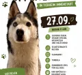 Tag der offenen Tür im Tierheim Immenstadt