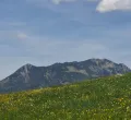 Kräuterwanderung bei Rettenberg