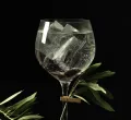 Gin & Jazz im Hotel Rosenstock in Fischen
