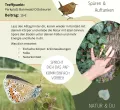 Naturzeit am Waldrand Ottobeuren
