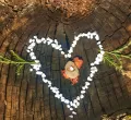 Naturretreat im Quellhof Allgäu