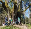 Natur- und Kulturwanderung bei Ratzenried