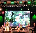 GreenPulse Festival im Schloss Achberg