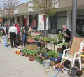 Gartenflohmarkt am Marktplatz im Oberösch Kempten