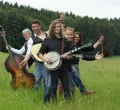 Bunch of Grass in Bad Grönenbach