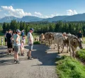 Kinder-Ferienprogramm  Bauernhofbesuch