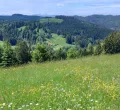 Über die Kreuzleshöhe zum Ziegenhof