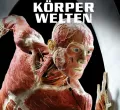 KÖRPERWELTEN in der bigBOX Allgäu