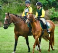 Reitturnier in Dietmannsried
