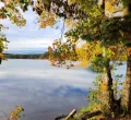 Weiher, Wald und Wild bei Immenried