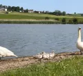 Mizu & Reiki am Sachsenrieder Weiher