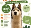 Tag der offenen Tür im Tierheim Immenstadt