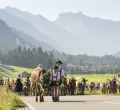 Viehscheid in Oberstdorf