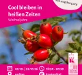 Cool bleiben in heißen Zeiten - online