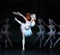 Schwanensee in der Marionettenoper Lindau