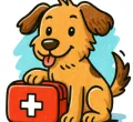 Erste-Hilfe-Kurs am Hund bei Allgäu Dogs